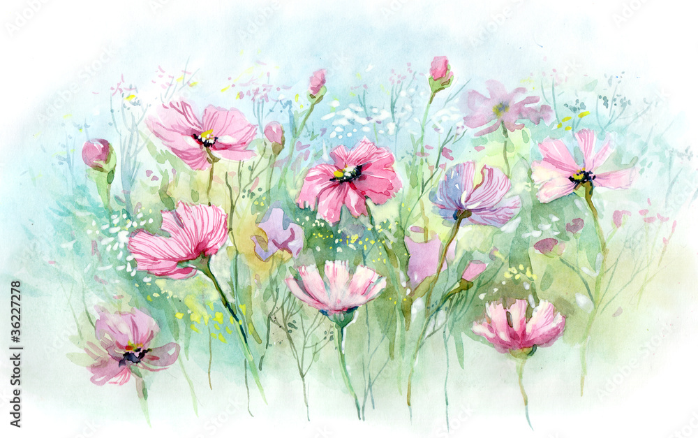 summer flowers (series C) summer flowers (series C)