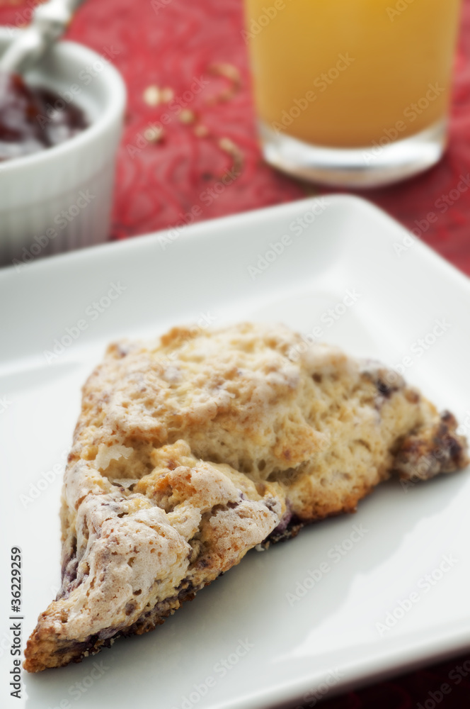Fresh Scone Fresh Scone