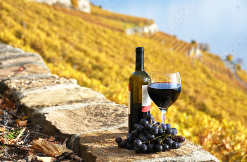Fototapeta Naklejka Na Ścianę i Meble -  Red wine and grapes. Lavaux region, Switzerland