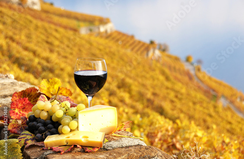 Red wine, grapes. Lavaux region, Switzerland