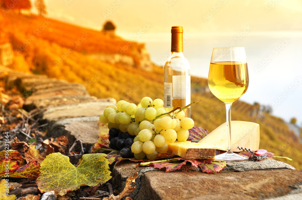 Wine and grapes against Geneva lake. Lavaux region, Switzerland