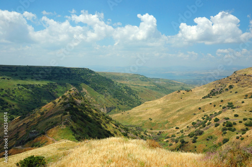 Israeli national park Gamla fortress at the Golan Hights - symbo