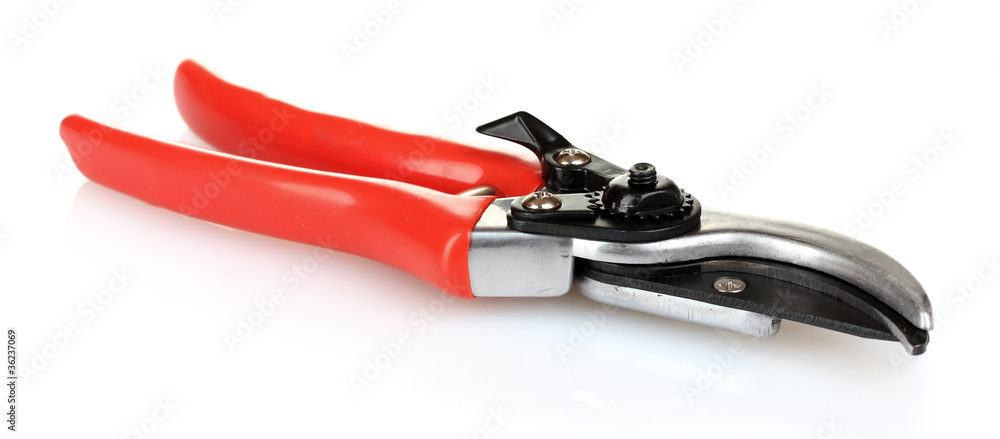 pruner isolated on white pruner isolated on white