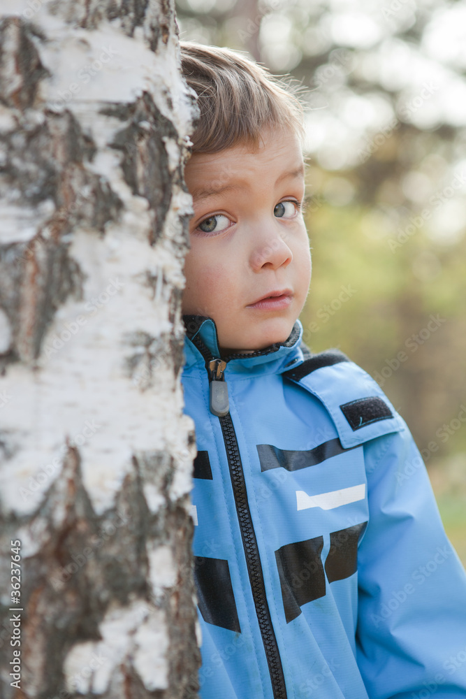 Little boy looks out of birch, fall, park Little boy looks out of birch, fall, park