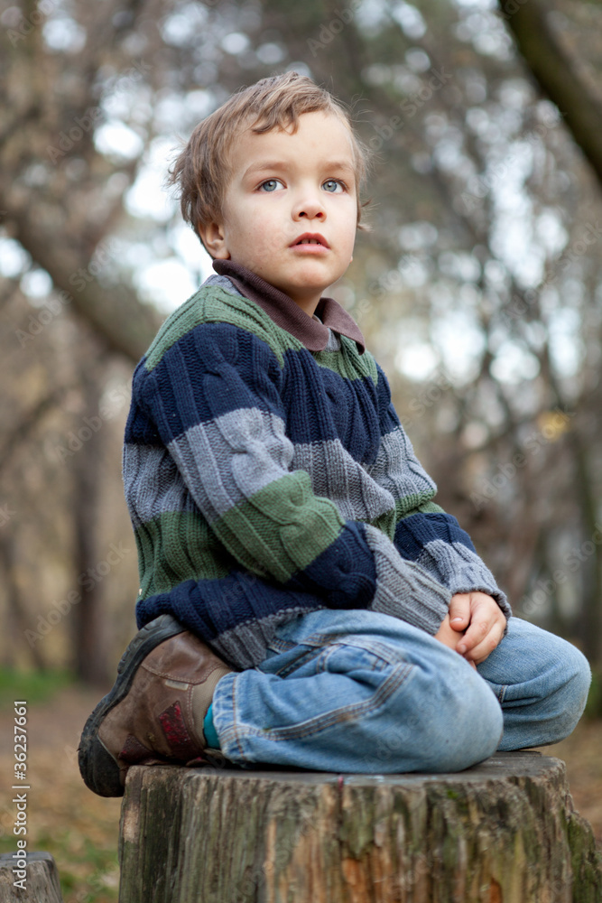 Little boy sitting on the tree stump, fall, park Little boy sitting on the tree stump, fall, park