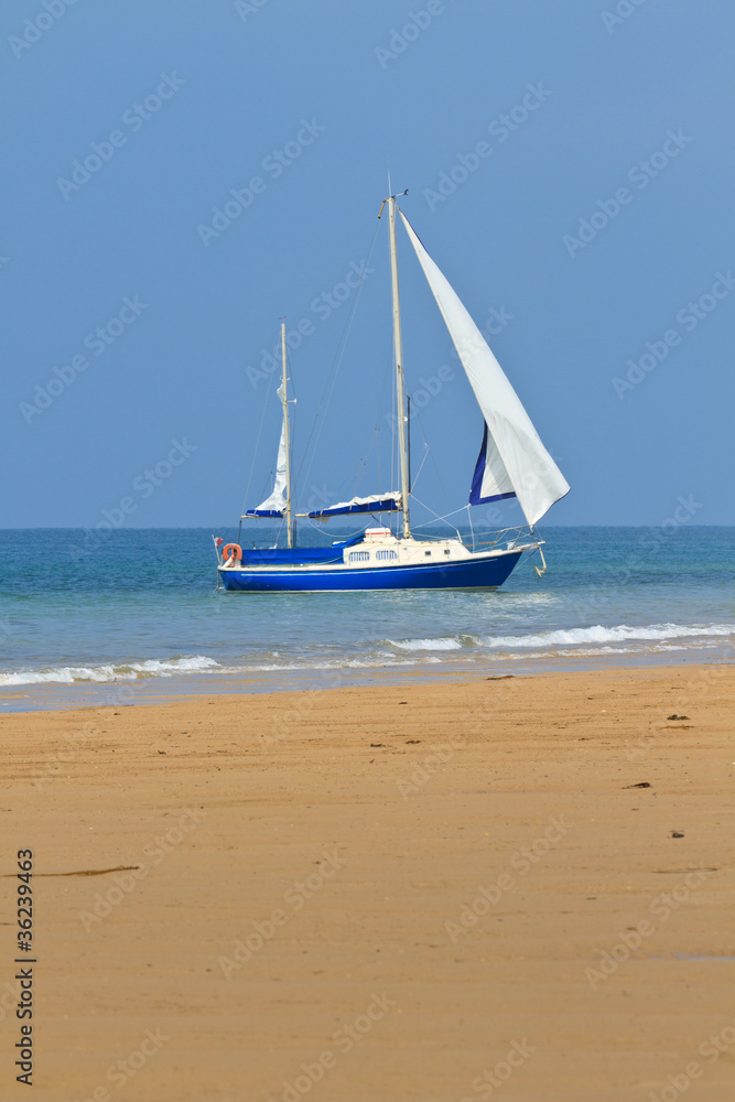 Blue Yacht anchored near sandy beach