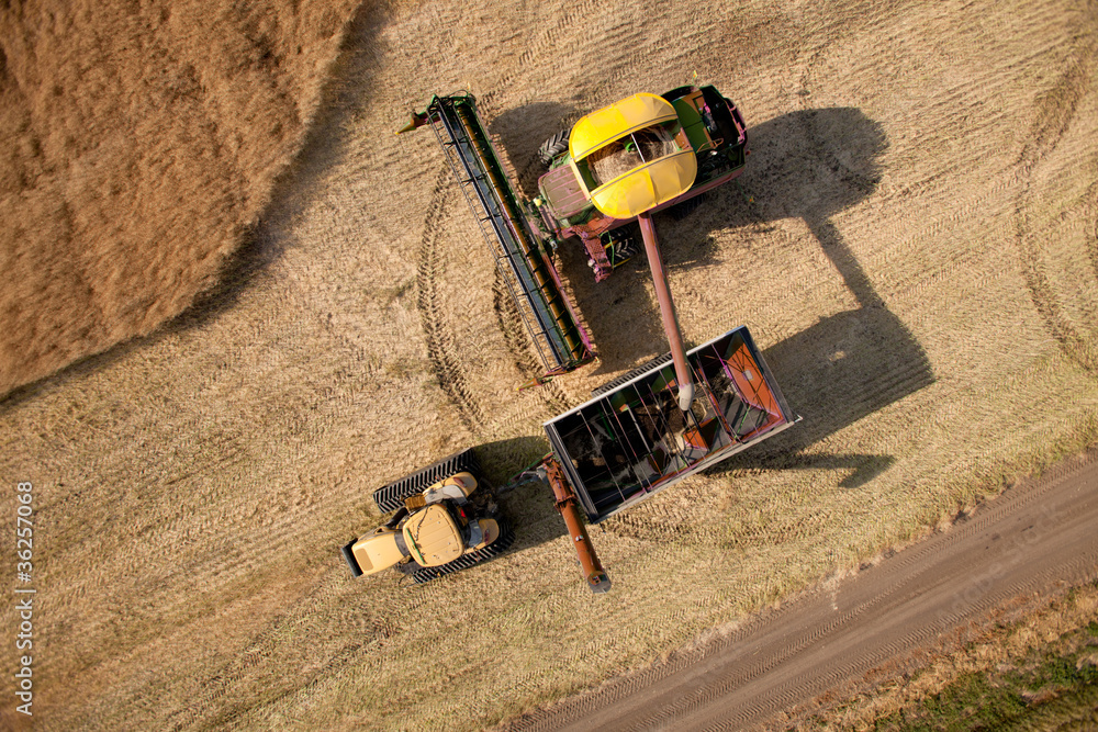 Naklejka premium Aerial View of Harvest