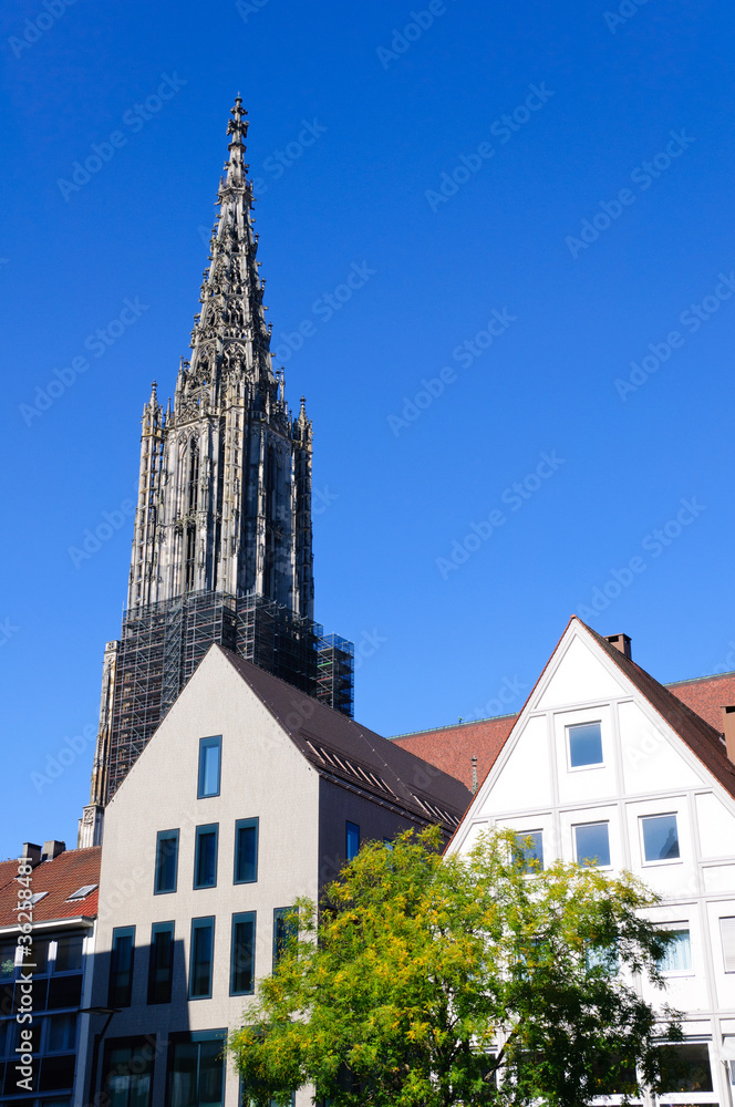 Obraz premium Ulm Cathedral