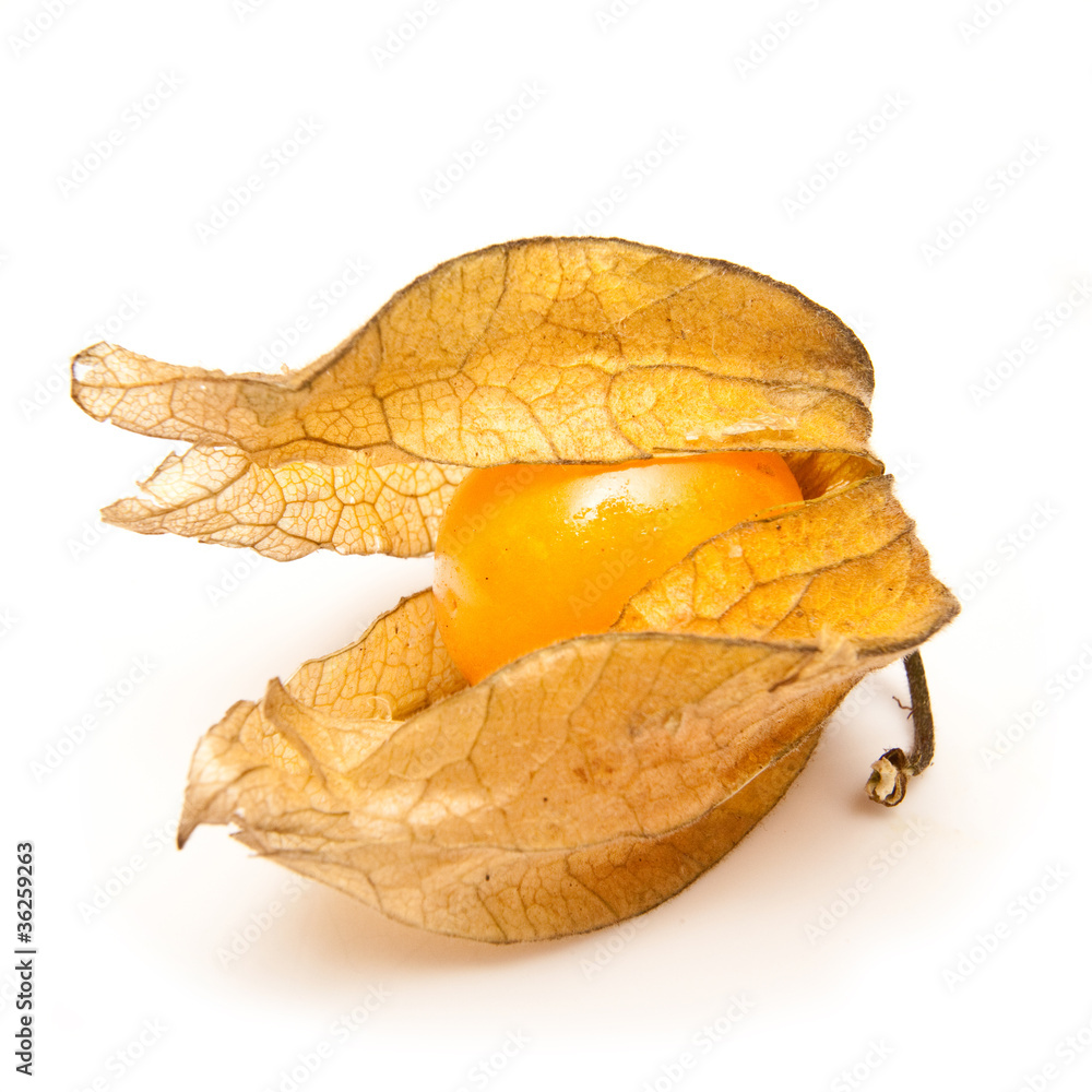 Physalis fruit isolated on a white studio background. Physalis fruit isolated on a white studio background.