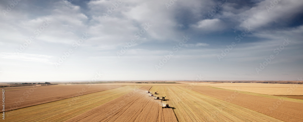 Harvest Aerial Landscape - obrazy, fototapety, plakaty 
