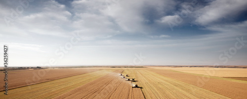 Harvest Aerial Landscape photo