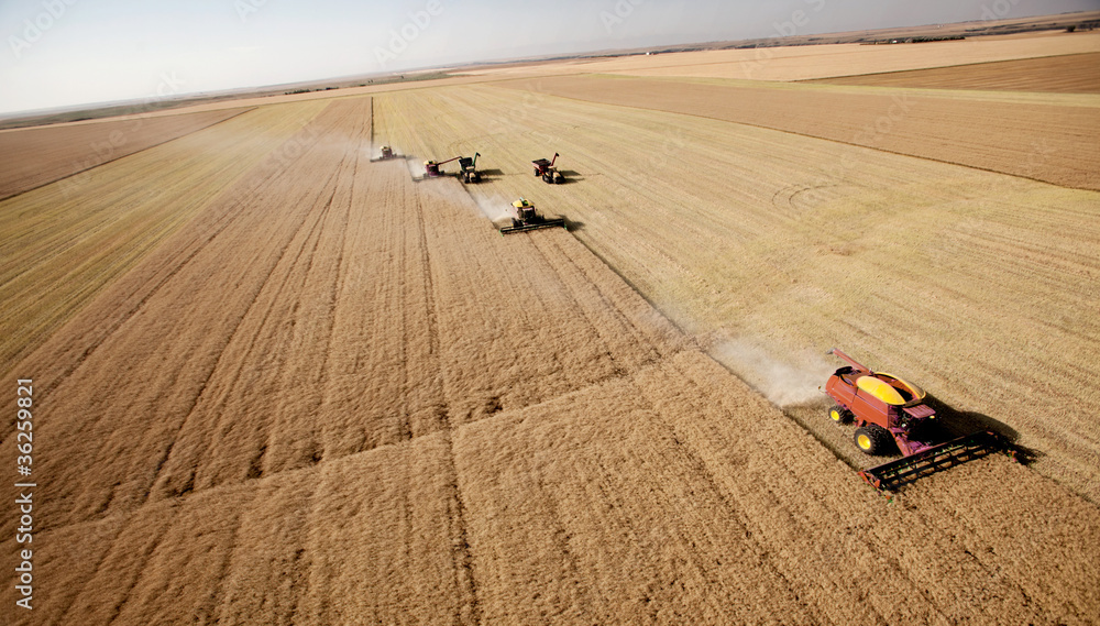 Naklejka premium Aerial Harvest Landscape