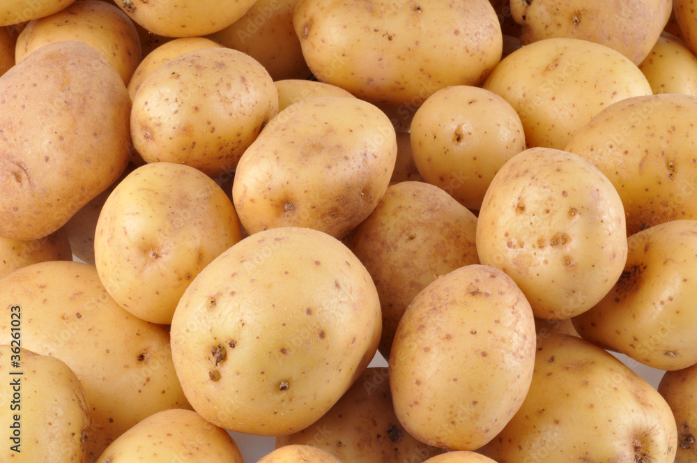 Patates Patates