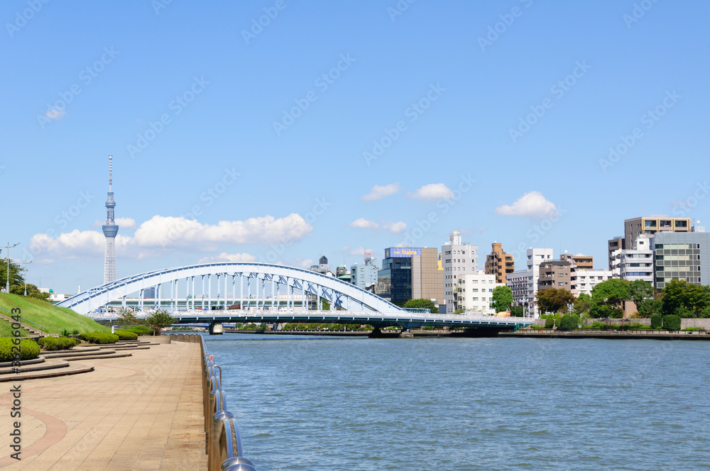 Naklejka premium Tokyo Sky Tree i rzeka Sumida