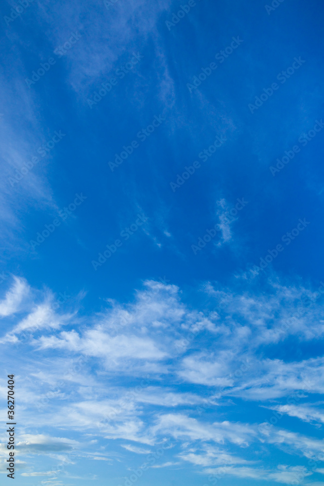 Fototapeta premium background[autumn_sky]_01