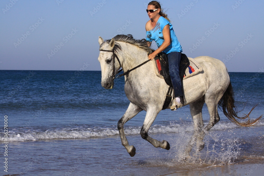 galopp am strand galopp am strand
