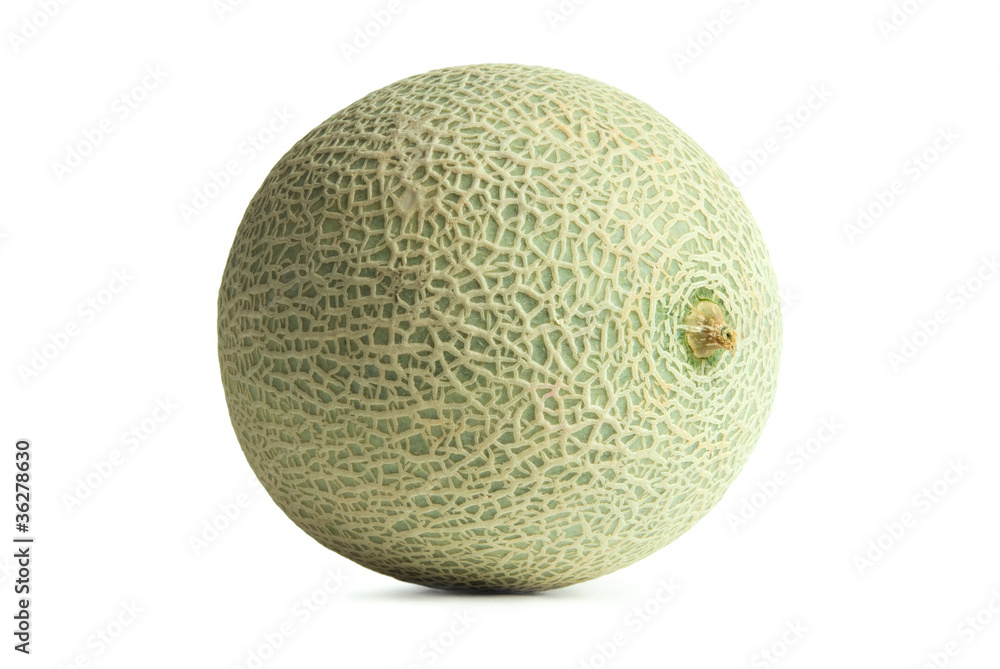 Green Cantaloupe or Muskmelon isolated on white background Green Cantaloupe or Muskmelon isolated on white background