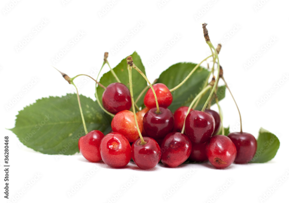 cerises fraîches cerises fraîches