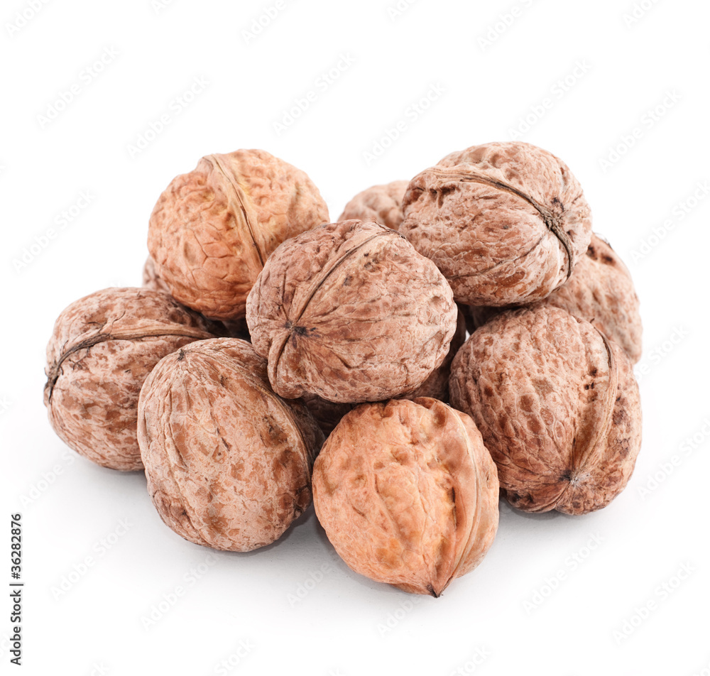 walnut group isolated on a white background walnut group isolated on a white background