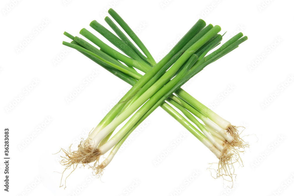 Spring Onions Spring Onions