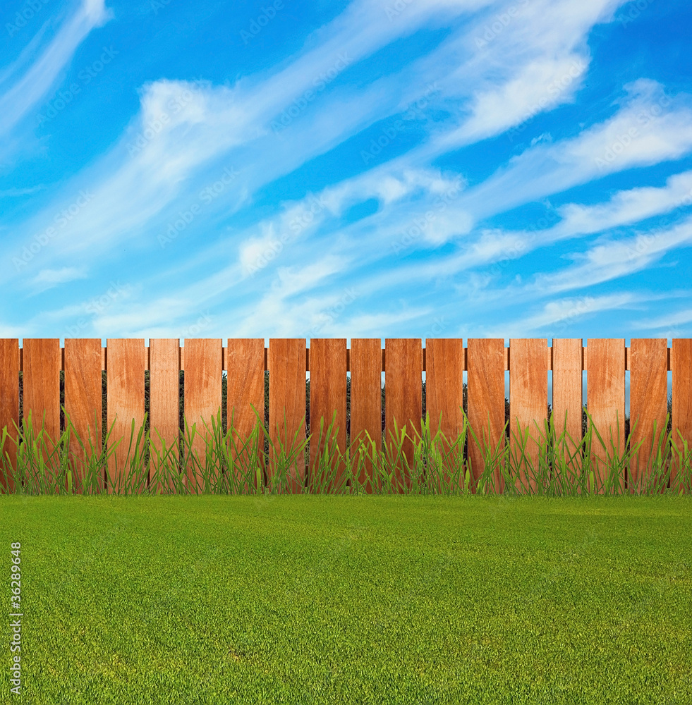 Fototapeta premium Green grass in garden