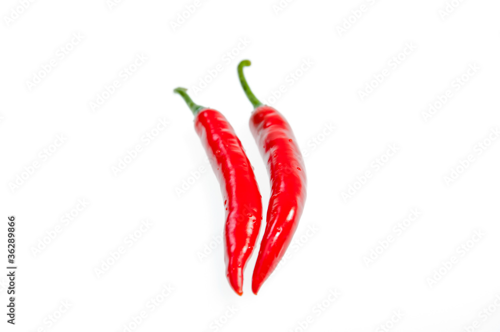 Two fresh red chilies isolated on white background Two fresh red chilies isolated on white background