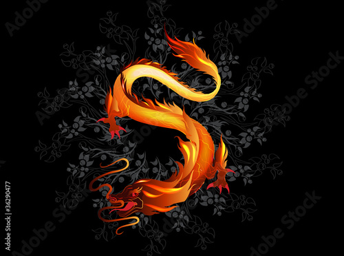 Oriental dragon illustration
