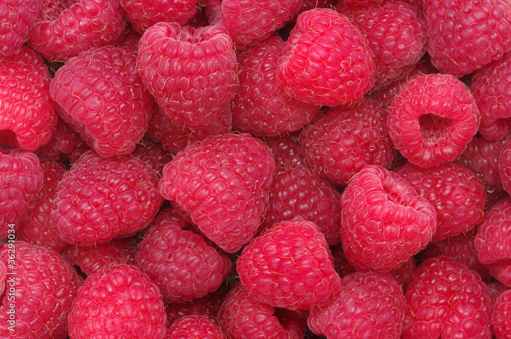raspberries background raspberries background