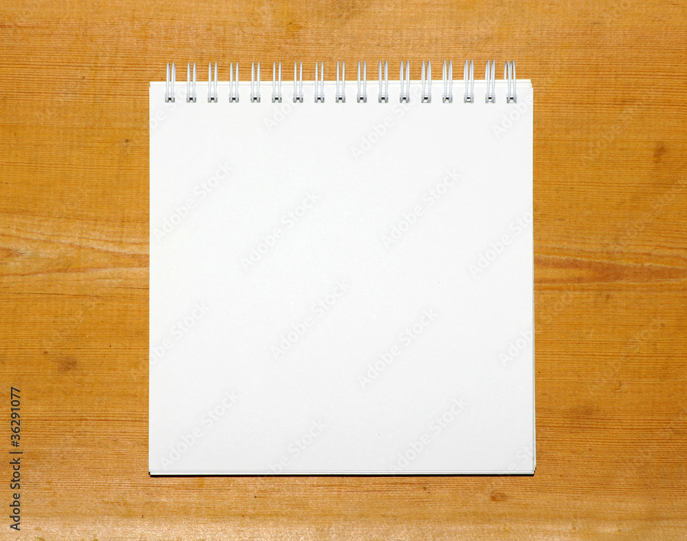 blank white paper blank white paper
