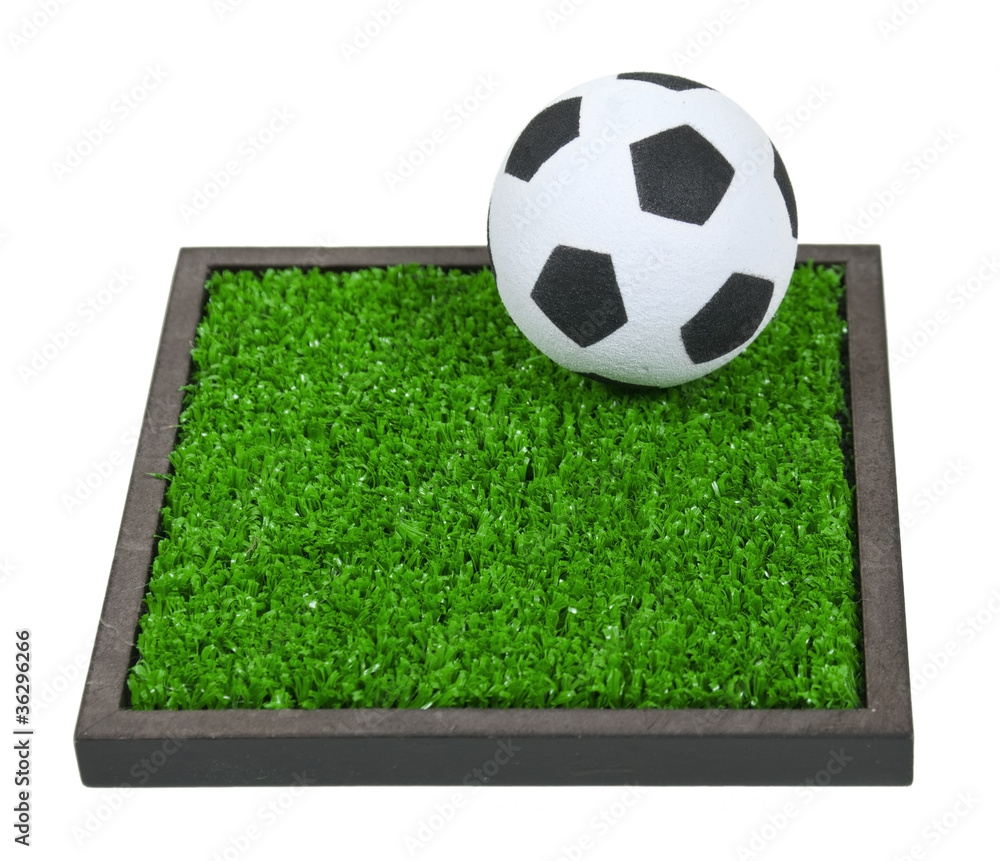 Soccer Ball on the Grass