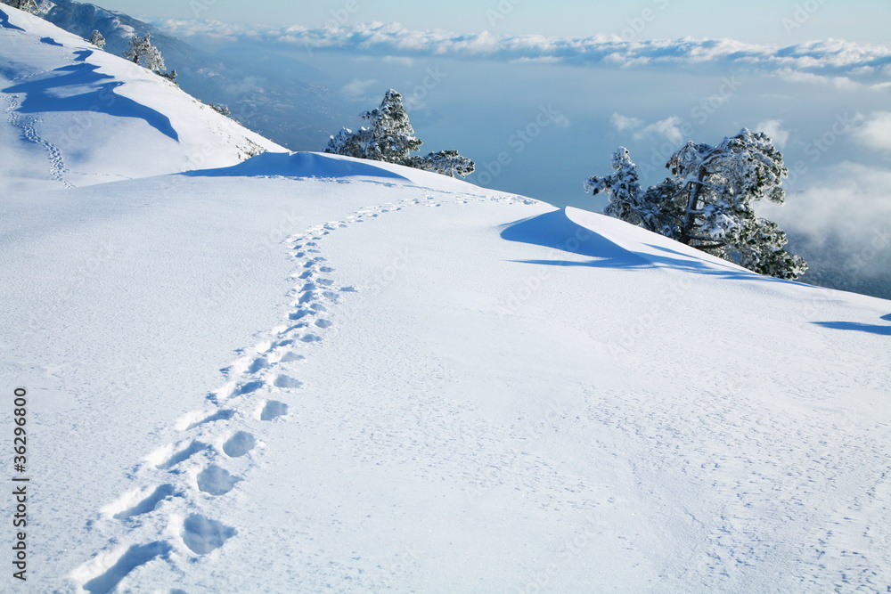 Obraz premium Footprints in the snow