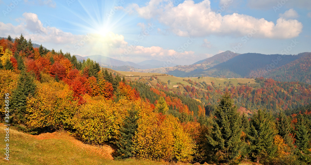 Obraz premium Autumn landscape