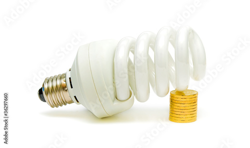 Quadro su tela Energy saving light bulb and money