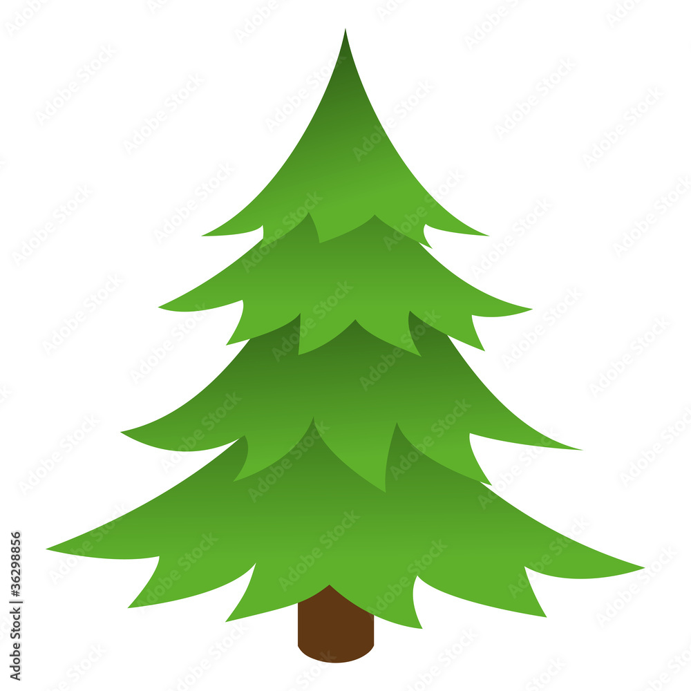 Pine Tree Pine Tree