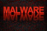 Software code or digital data infected by malware
