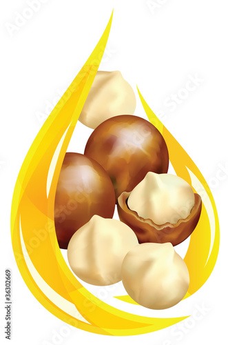 Macadamia oil. Stylized drop.