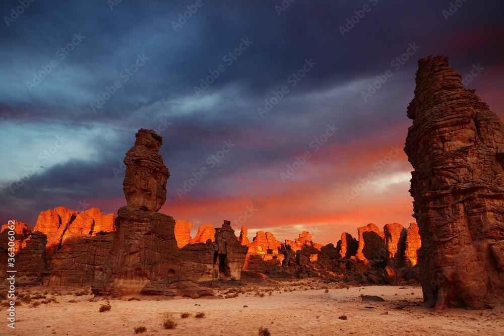 Sunrise in Sahara Desert - obrazy, fototapety, plakaty 
