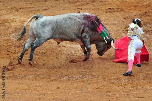 A Matador Challenges a Bull in a Bullfight