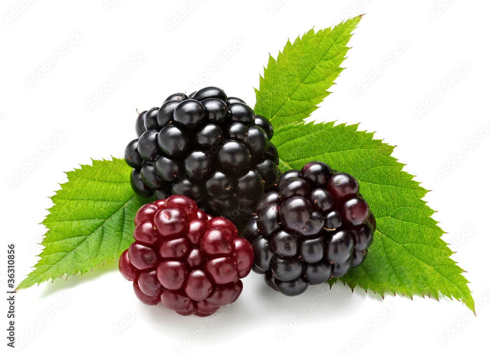 blackberry