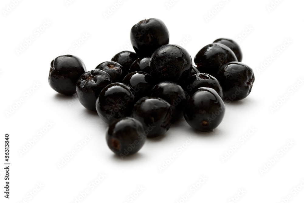 Black chokeberry isolated on the white background Black chokeberry isolated on the white background