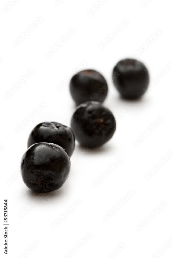 Black chokeberry isolated on the white background Black chokeberry isolated on the white background