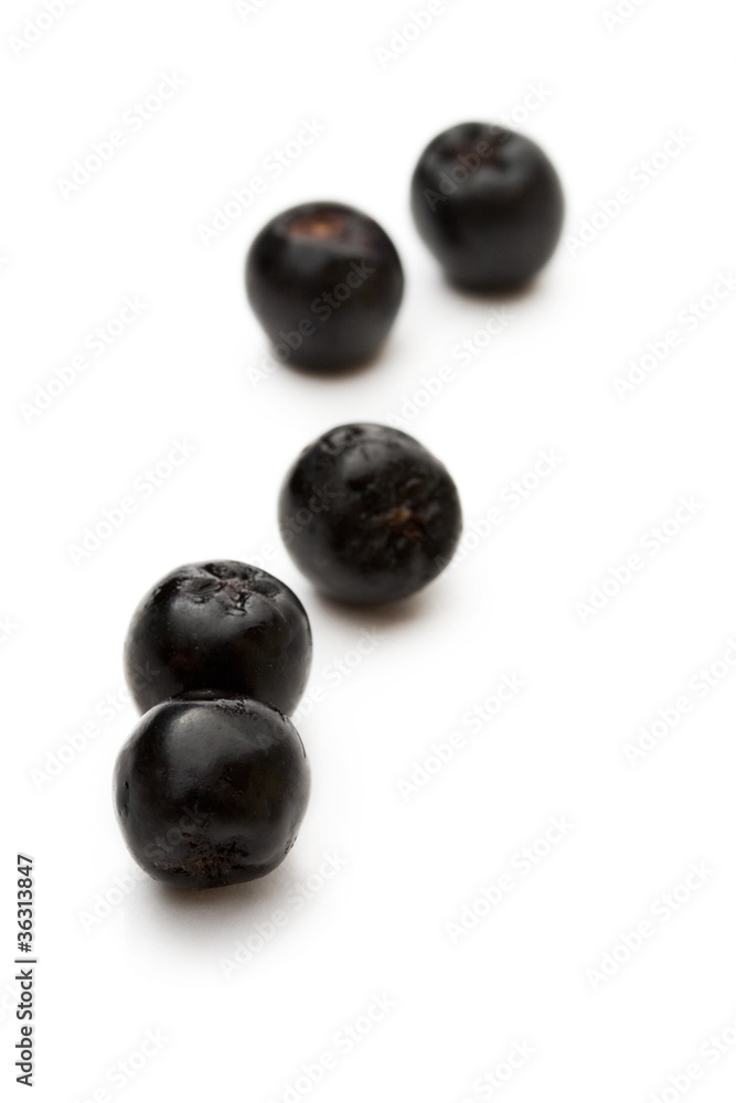 Black chokeberry isolated on the white background Black chokeberry isolated on the white background
