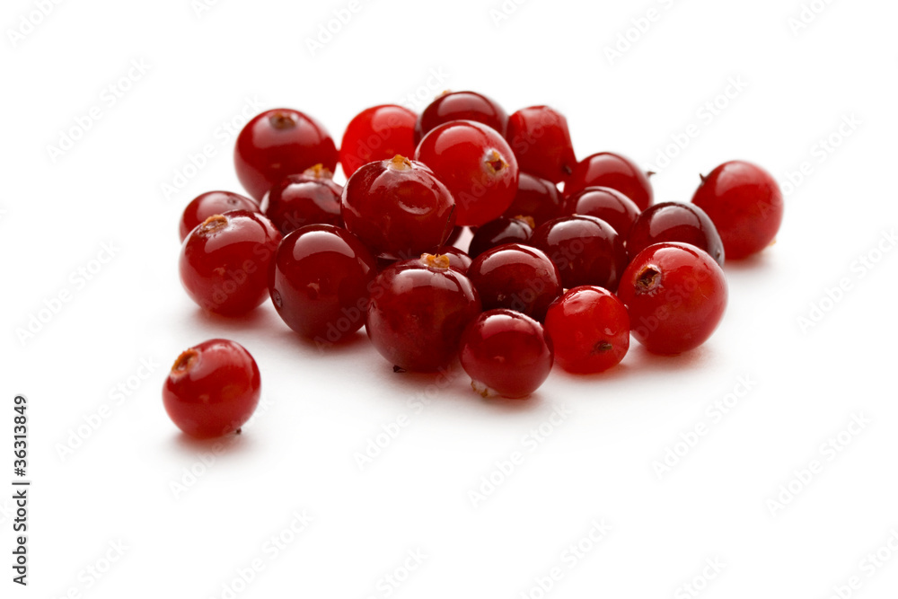 Cranberries isolated on the white background Cranberries isolated on the white background