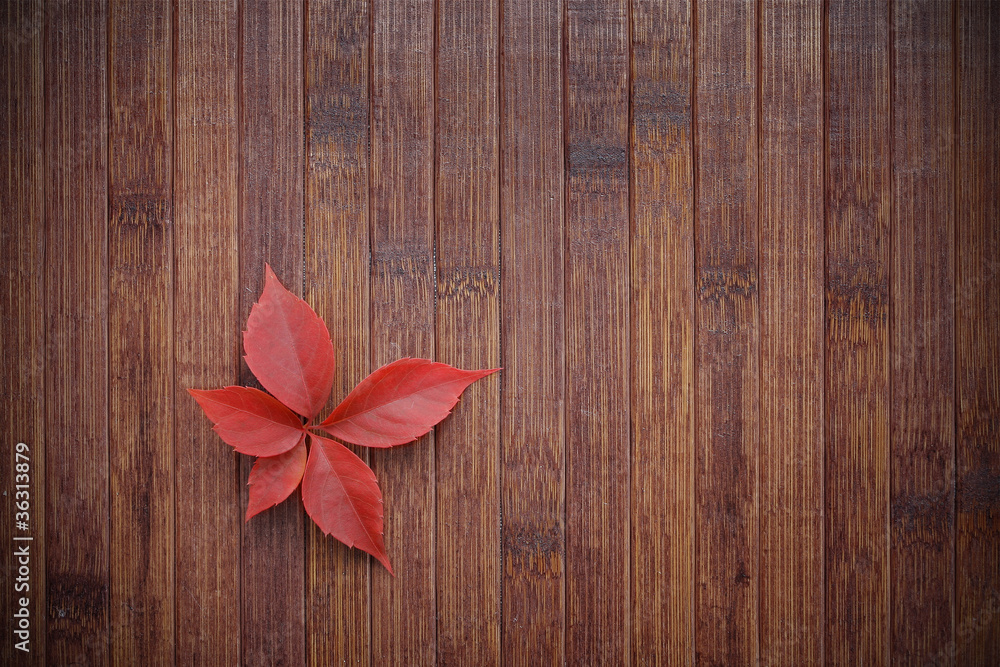 Autumn background Autumn background