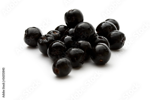 Black chokeberry isolated on the white background
