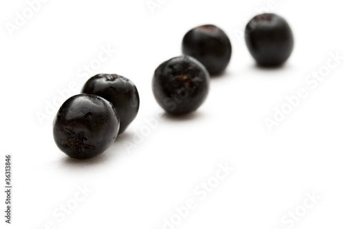 Black chokeberry isolated on the white background