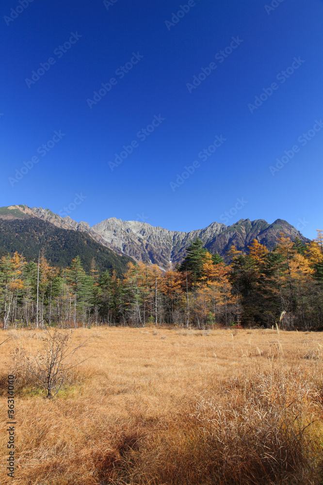 田代湿原の秋 田代湿原の秋