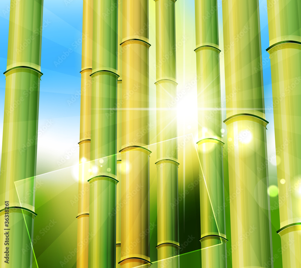 Bamboo nature background Bamboo nature background