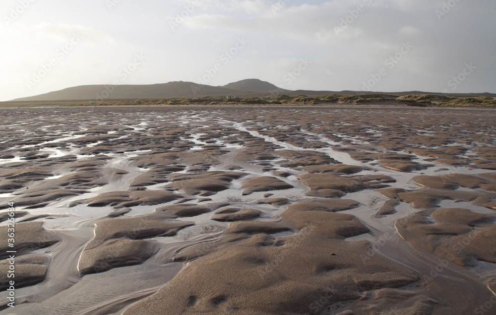 bumpy ebb tide scenery bumpy ebb tide scenery
