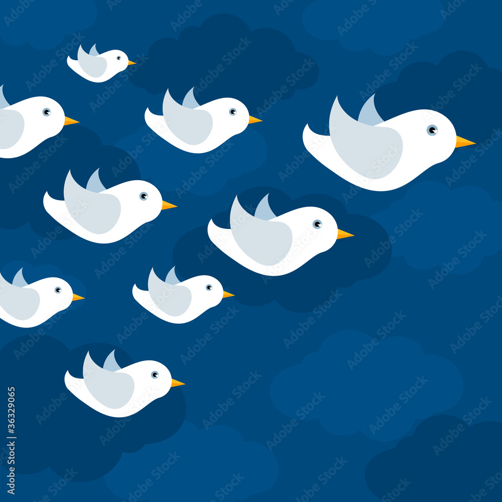 The flight of white pigeons flies The flight of white pigeons flies